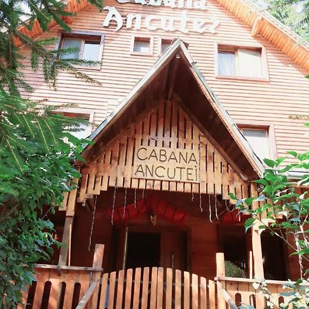 Cabana Ancutei Rucar  Luaran gambar