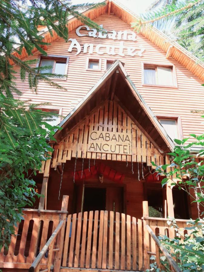 Cabana Ancutei Rucar  Luaran gambar